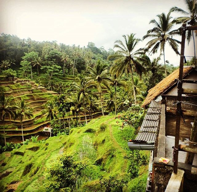 Bali: An Everyman’s Paradise